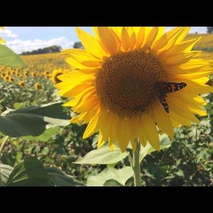 Meet your Posher, Rhonda